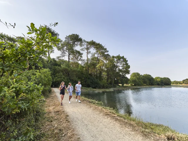 Familie bei einem Spaziergang auf den Wegen durch die Sümpfe der Anse du Petit Moulin, in der Nähe des Mer Blanche in Bénodet