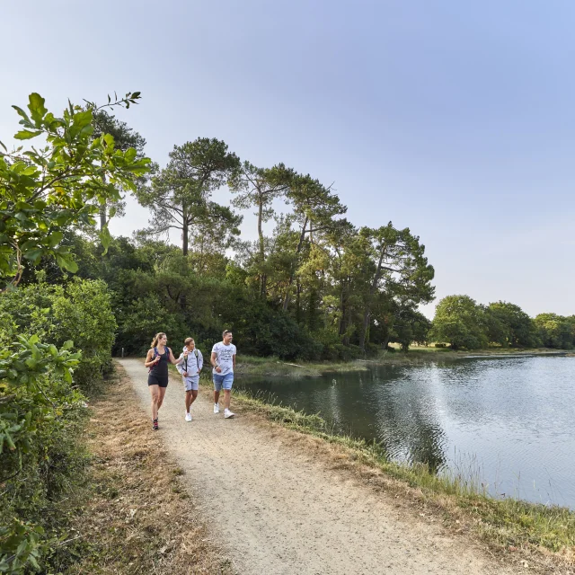 Family stroll along the marsh paths of Anse du Petit Moulin, near the Mer Blanche in Bénodet
