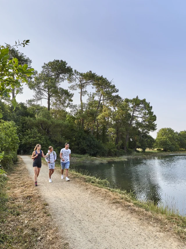 Wandeling met het gezin over de moeraspaden van Anse du Petit Moulin, bij de Mer Blanche in Bénodet