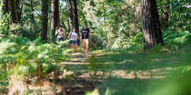 Trois promeneurs en balade dans l'Anse du Petit Moulin
