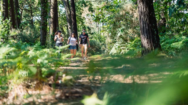 Trois promeneurs en balade dans l'Anse du Petit Moulin