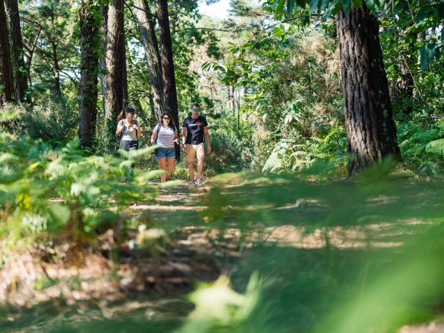 Three walkers in Anse du Petit Moulin