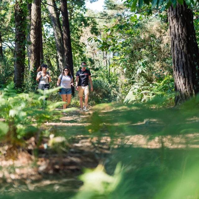 Trois promeneurs en balade dans l'Anse du Petit Moulin