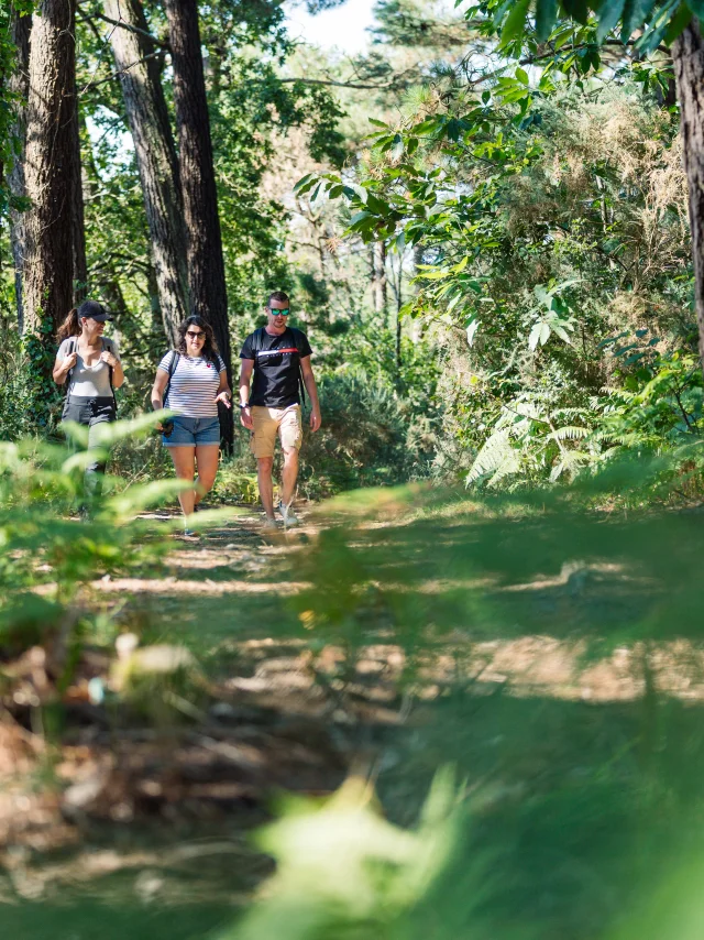 Drie wandelaars in Anse du Petit Moulin