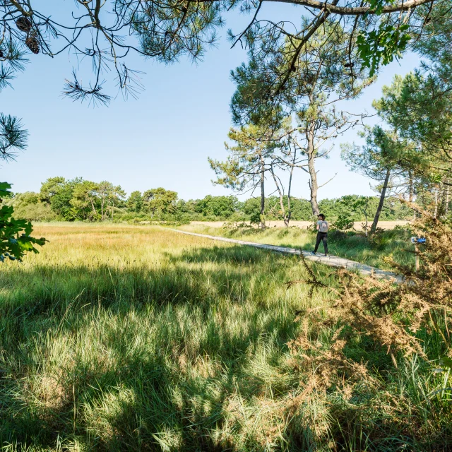 84 Sb Benodet Chemin De Kerguell Marais De La Mer Blanche Petit Moulin Hdjeremyjehanin 2024