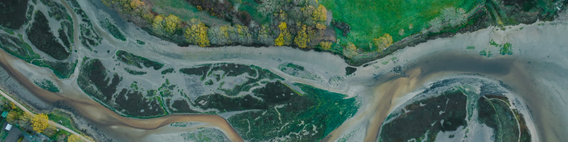 Luchtfoto van Anse du Petit Moulin