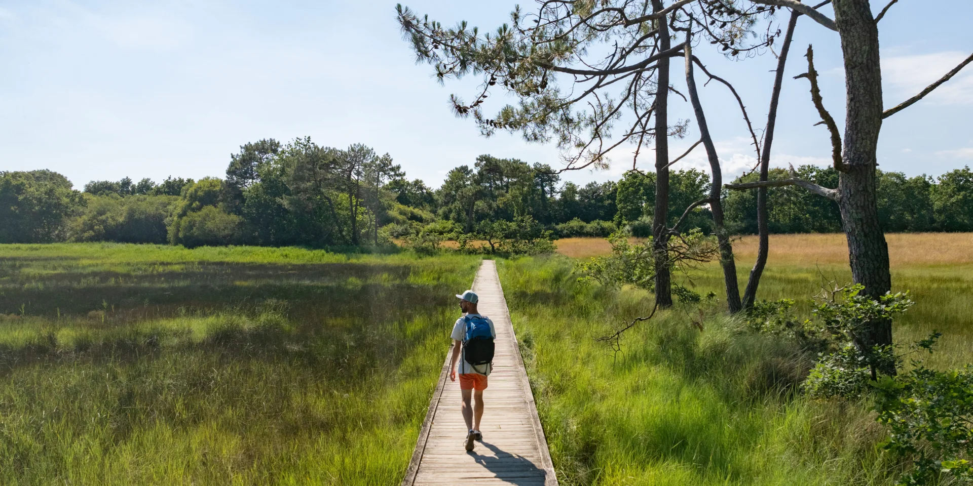 Wandelwagen in de Anse du Petit Moulin in de Mer Blanche moerassen