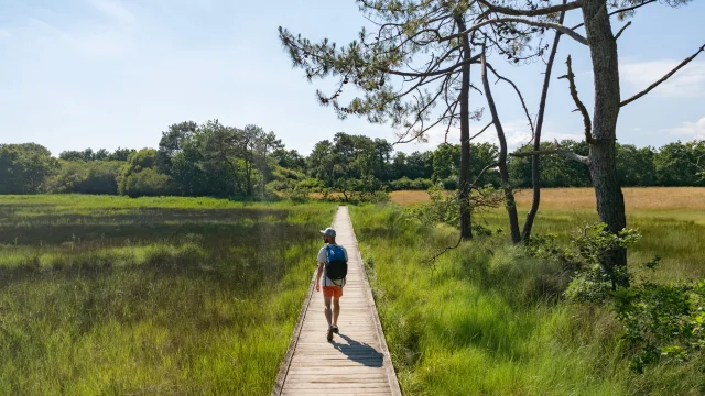 Promeneur dans l'Anse du Petit Moulin dans les Marais de la Mer Blanche