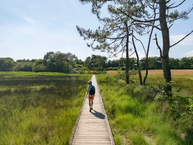 Promeneur dans l'Anse du Petit Moulin dans les Marais de la Mer Blanche