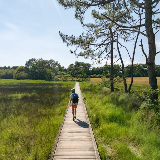 Promeneur dans l'Anse du Petit Moulin dans les Marais de la Mer Blanche