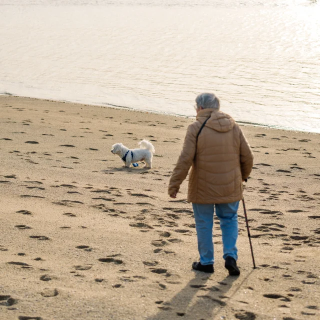 Bichon aan de wandel met zijn bazin op Plage du Coq
