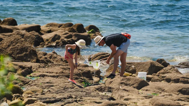 Foot fishing at Pointe Saint-Gilles