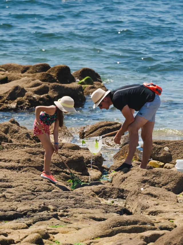Pêche à pieds à la Pointe Saint-Gilles