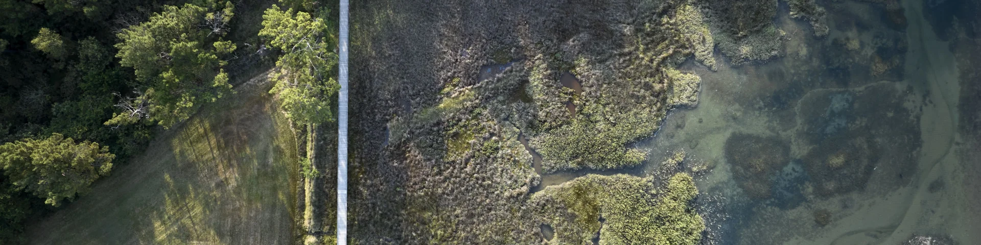 Aerial view of the footbridge at Anse du Petit Moulin