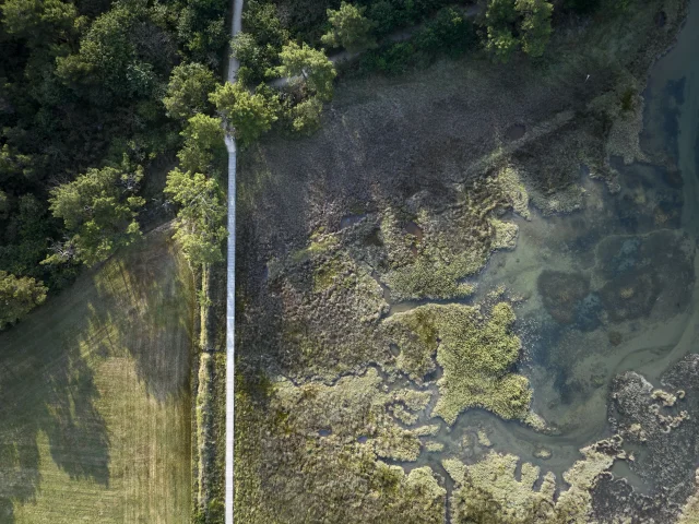 Aerial view of the footbridge at Anse du Petit Moulin