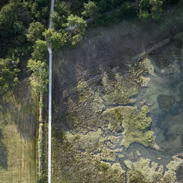 Aerial view of the footbridge at Anse du Petit Moulin