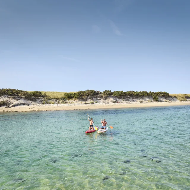 Paddle sur la Mer Blanche près de la Plage du Letty à Bénodet