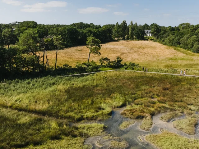 Vue aérienne de l'Anse du Petit Moulin
