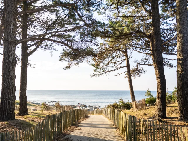 Path leading to Pointe-Saint-Gilles Beach
