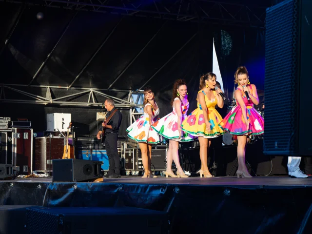 Spectacle C'est beau la vie - Orchestre Thierry Tacinelli