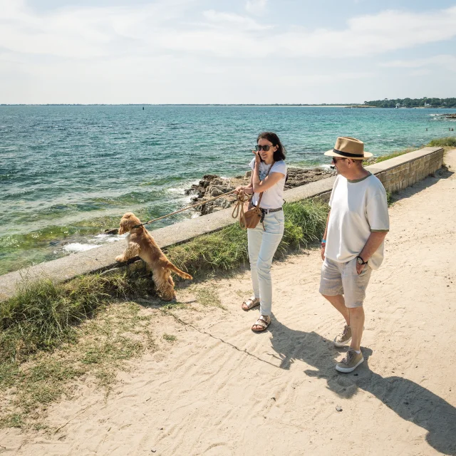 Hondenuitlaatservice op de Pointe de Groasguen