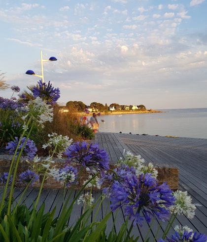 Lenteavond op het strand van Trez