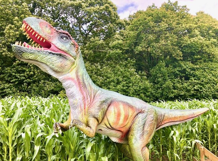 Dino Aven Parc