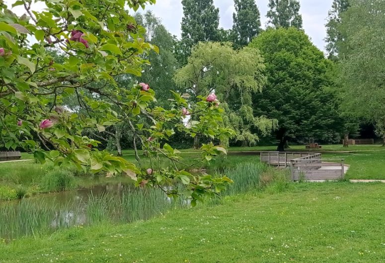 Jardin public