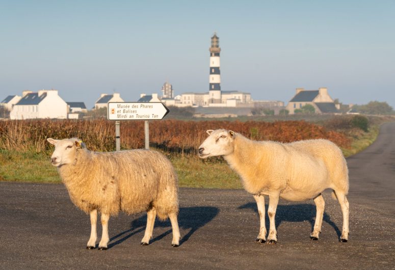2018_1022_Bretagne_Finistere_Ouessant_PhareDuCreach_MRV08781_MRi