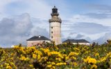 2023_0504_Bretagne_Finistere_Ouessant_Stiff_Earth_0O1A2320_RLe