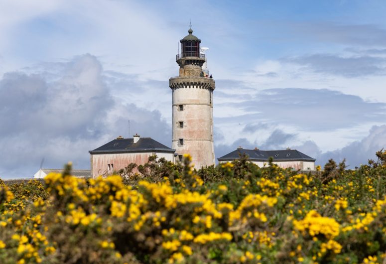 2023_0504_Bretagne_Finistere_Ouessant_Stiff_Earth_0O1A2320_RLe