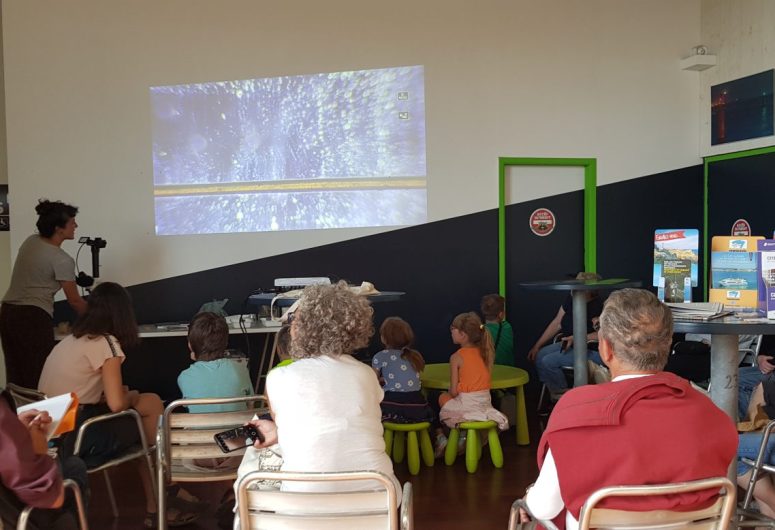 Atelier découverte du plancton animé par Cap vers la Nature