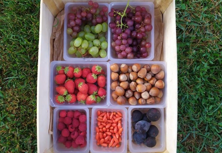 Petits-fruits Cap’Hélix