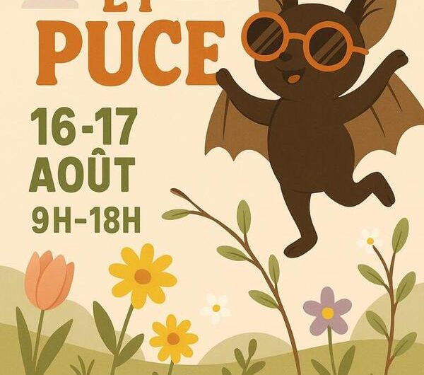 2025_08_16 et 17 troc-et-puces-Confort-Meilars-29