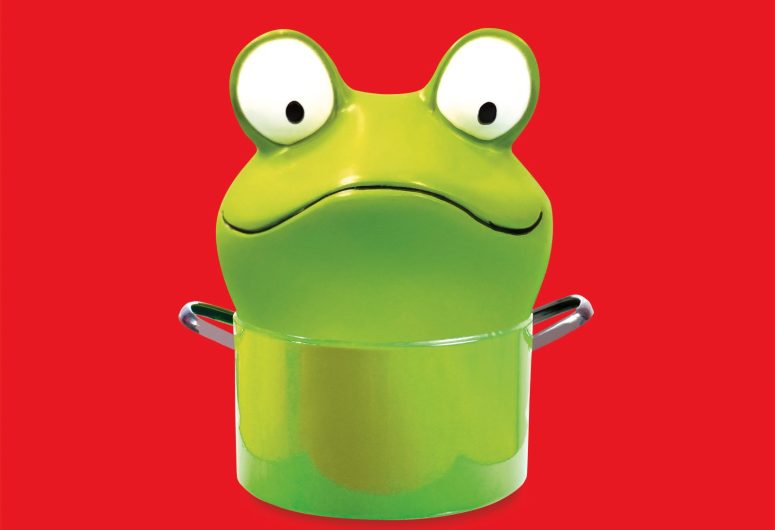 2025-12-12_GRENOUILLES