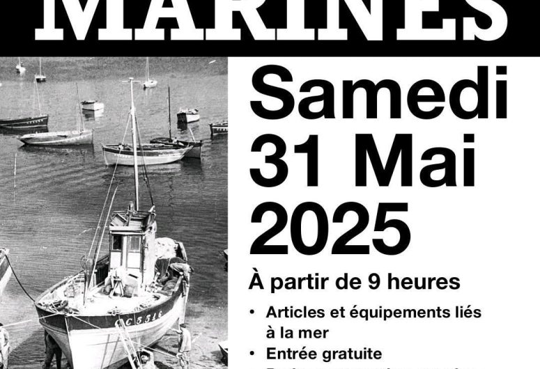 31 mai puces marines Nevez