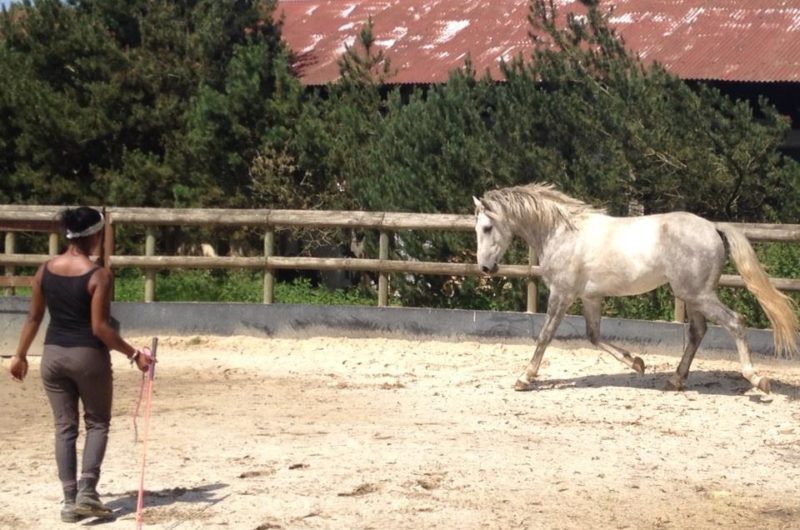 Paardensportcentrum Ehoetoi