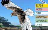 Maison de la Baie d’Audierne 2025 – Treguennec – Pays bigouden – Bigoudenjoy