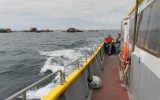 Promenade et pêche en mer Soizen – Guilvinec – Pays Bigouden – Bigoudenjoy