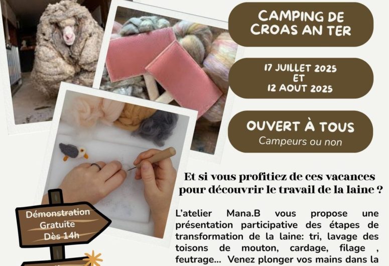 activité découverte du travail de la laine