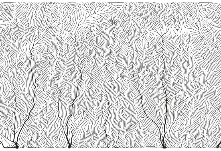Linogravure – Combrit Ste-Marine – Pays bigouden – Bigoudenjoy