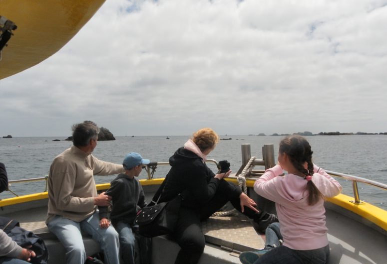 Promenade et pêche en mer Soizen – Guilvinec – Pays Bigouden – Bigoudenjoy