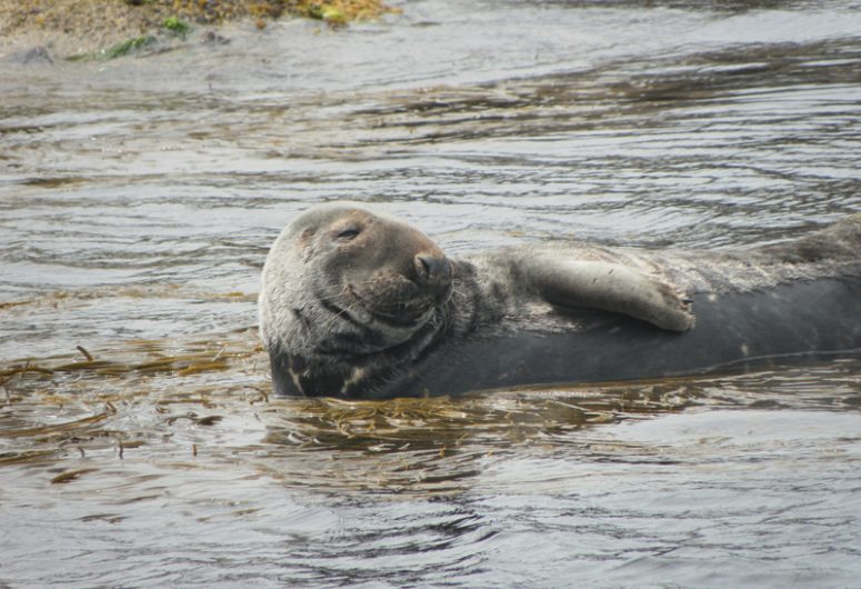 Promenade et pêche en mer Soizen – Guilvinec – Pays Bigouden – Bigoudenjoy