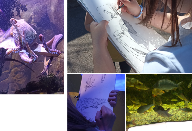 DESSINER À L’AQUASHOW