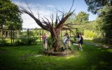 Abbaye_du_Relec_-_reportage_photo_ete_2023-Mathieu_LE_GALL-Abbaye_du_Relec-36551-1920px