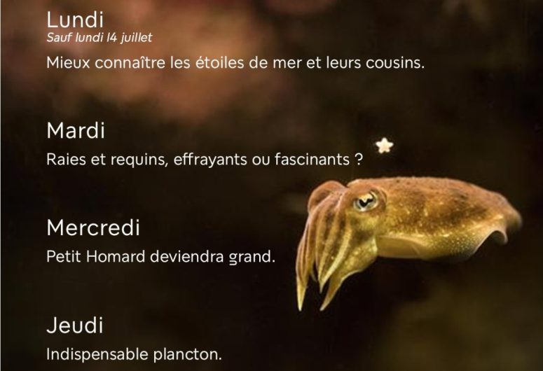 Affiche animations mariarium 29 aout