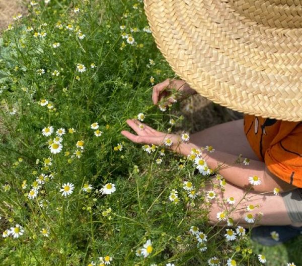Terre de Louzou – Penmarch – Pays Bigouden – Bigoudenjoy