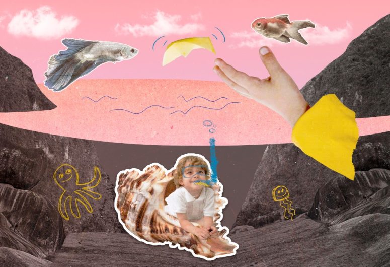 Atelier l’art du collage