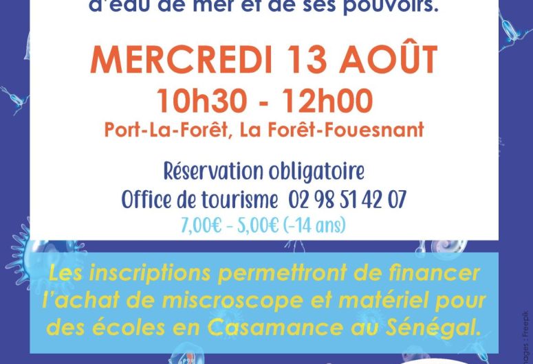 Atelier plancton 13.08.25