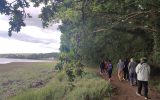 Balade guidée à l’étang de Penn Ar Ster à Plougastel-Daoulas